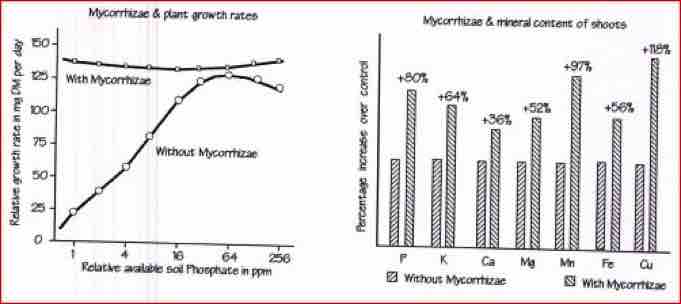  soil fertility is a biological, Waternet.co.uk Theydon UK